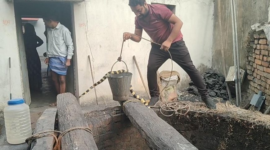 कोरबा के हरदीबाज़ार में कुएं से दो दिन बाद सुरक्षित निकाला गया दुर्लभ अहिराज सांप, रेस्क्यू टीम ने बचाई जान