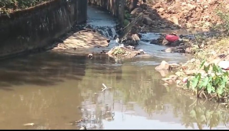 एनएमडीसी टाउनशिप का गंदा निस्तार जल नालों में, दंतेवाड़ा के ग्रामीणों की सेहत पर मंडराया गंभीर खतरा