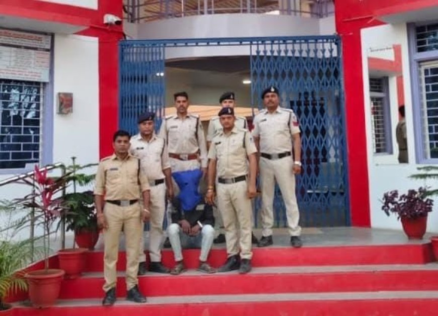 आलीराजपुर भगोरिया हाट में शातिर पॉकेटमार गिरफ्तार, 31 हजार का मोबाइल बरामद