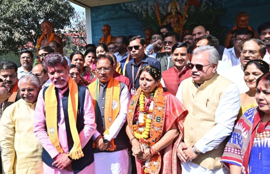 राज्यसभा चुनाव: भाजपा प्रत्याशी लक्ष्मी वर्मा ने छत्तीसगढ़ विधानसभा में दाखिल किया नामांकन