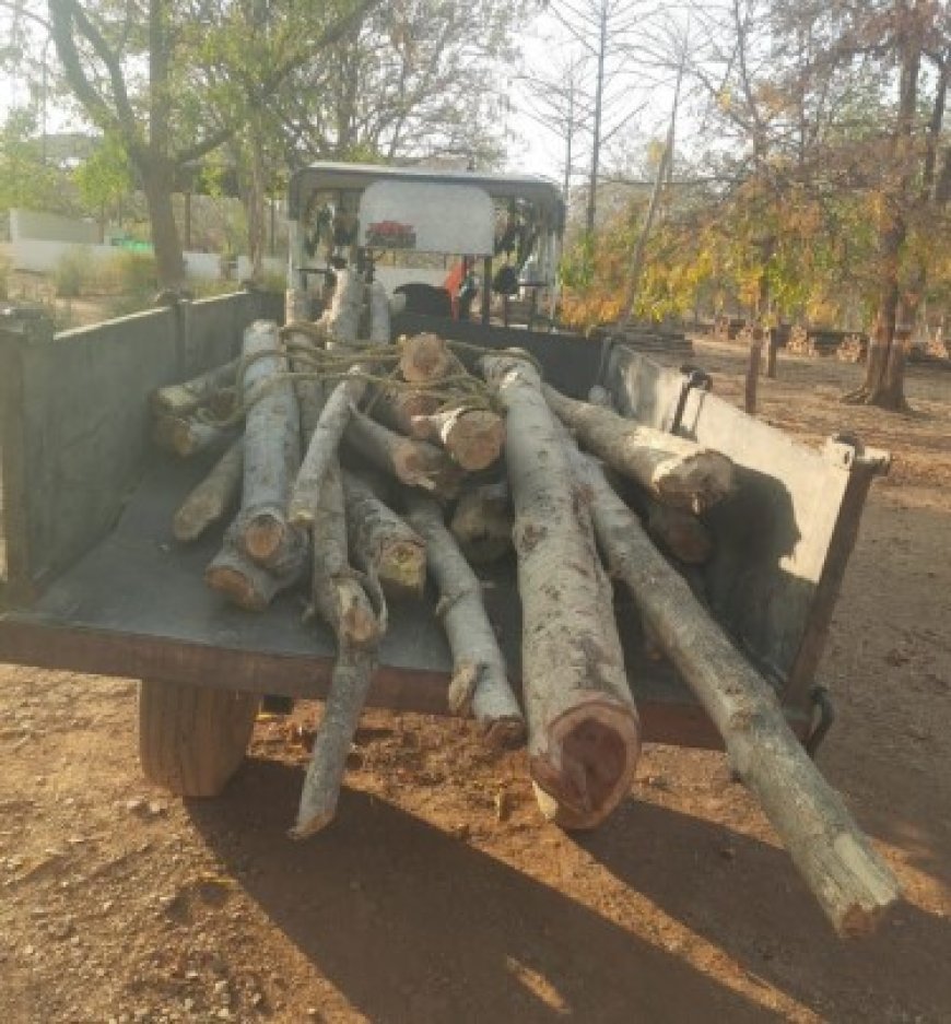 सागौन और हल्दू की लकड़ी का अवैध परिवहन करते ट्रैक्टर जप्त, वन विकास निगम की बड़ी कार्रवाई