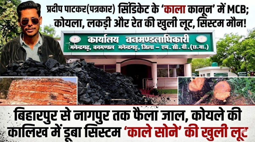 सिंडिकेट के 'काला कानून' में MCB; कोयला, लकड़ी और रेत की खुली लूट, सिस्टम मौन!