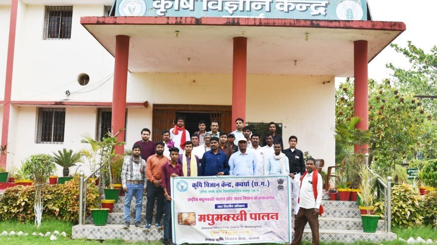 कवर्धा में मधुमक्खी पालन पर 7 दिवसीय प्रशिक्षण शुरू, किसानों को स्वरोजगार की दिशा में मिल रही नई राह