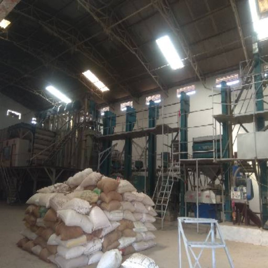 कस्टम मिलिंग में लापरवाही पर सख्ती: धमतरी में ऋषभ राइस प्रोसेसिंग पर प्रकरण दर्ज, जांच में कई अनियमितताएं उजागर