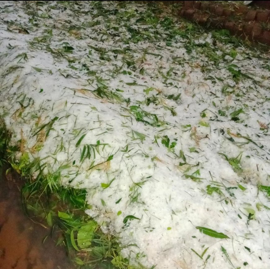 कोंडागांव में भारी ओलावृष्टि से तबाही: बड़ेराजपुर क्षेत्र में किसानों की फसलें बर्बाद