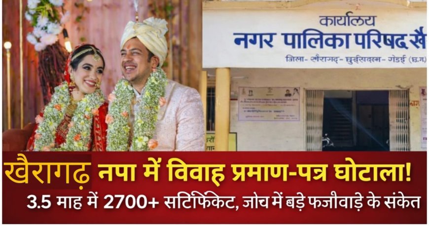 खैरागढ़ नपा में विवाह प्रमाण-पत्र घोटाला: 3.5 महीने में 2700 से ज्यादा सर्टिफिकेट, जांच में फर्जीवाड़े के संकेत