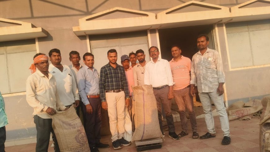 बेमेतरा में MSP पर चना खरीदी शुरू, पहले दिन 45 क्विंटल की खरीदी से किसानों में उत्साह