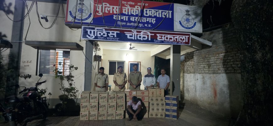 आलीराजपुर में पुलिस की बड़ी कार्रवाई: 63 पेटी अवैध शराब जब्त, आरोपी गिरफ्तार
