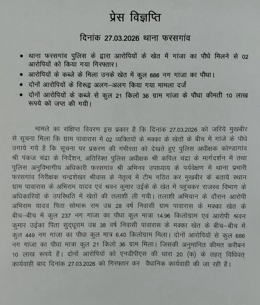कोंडागांव में अवैध गांजा खेती का भंडाफोड़, 686 पौधों के साथ दो आरोपी गिरफ्तार
