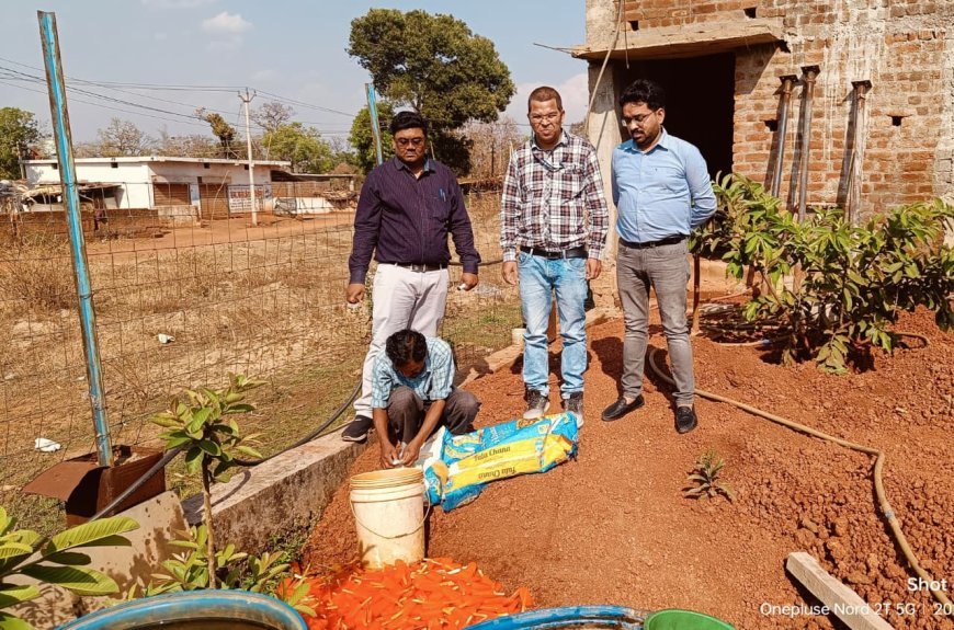 साल्हेवारा में बिना लाइसेंस आइस फैक्ट्री पर छापा, 1 लाख का माल सीज