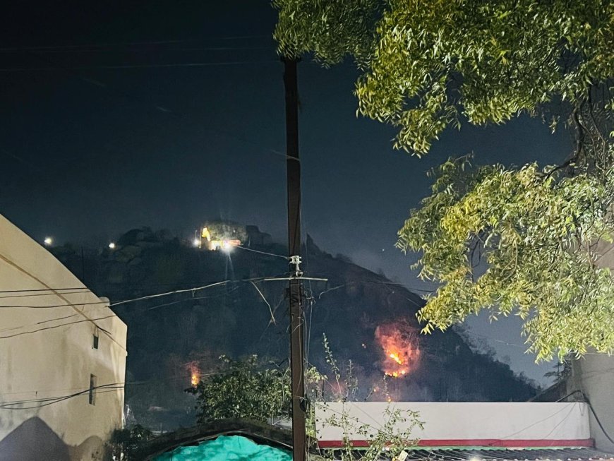 नवरात्रि के अंतिम दिन डोंगरगढ़ की पहाड़ी में लगी आग, फायर ब्रिगेड और वन विभाग जुटे