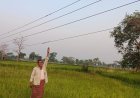 ओरमा में बिजली विभाग की लापरवाही, खेतों के ऊपर 7 फीट पर झूल रही लाइन से किसानों की जान खतरे में