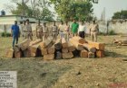 सुकमा में 7.50 लाख की सागौन लकड़ी जब्त, वन विभाग-पुलिस की संयुक्त कार्रवाई में अंतर्राज्यीय तस्करी का खुलासा