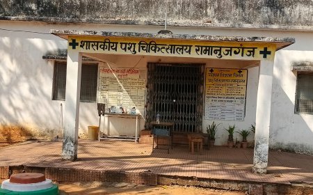 रामानुजगंज में पशु चिकित्सा विभाग पर कमीशनखोरी के आरोप, वायरल ऑडियो से बढ़ा विवाद