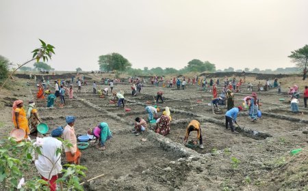 मनरेगा में कबीरधाम नंबर-1: सर्वाधिक रोजगार और मानव दिवस सृजन में प्रदेश में अव्वल