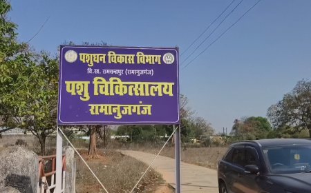 रामानुजगंज पशु चिकित्सा विभाग पर कमीशनखोरी का आरोप, सहायक चिकित्सा अधिकारी का ऑडियो वायरल