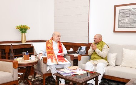 सांसद संतोष पांडेय ने अमित शाह से की मुलाकात, देश के नक्सल मुक्त होने पर दी बधाई