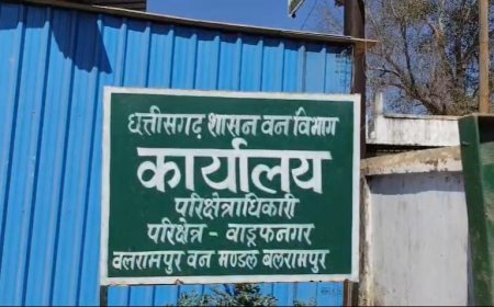 वाड्रफनगर में वनभूमि कब्जा कांड: वनपाल पर रिश्वत लेकर जमीन दिलाने के आरोप