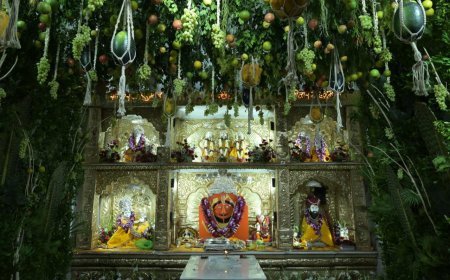 रायपुर के सालासर बालाजी मंदिर में धूमधाम से मनाया गया हनुमान जन्मोत्सव, हजारों श्रद्धालु हुए शामिल