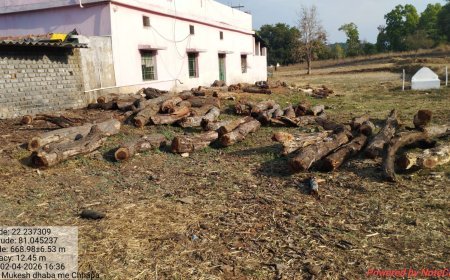 कवर्धा वन विभाग की बड़ी कार्रवाई: अवैध लकड़ी परिवहन पर प्रहार, ट्रैक्टर-ट्रॉली जब्त