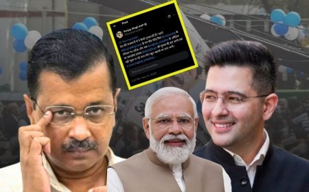 राघव चड्ढा के सोशल मीडिया पोस्ट हटाने पर सियासी हलचल, AAP ने उठाए गंभीर सवाल