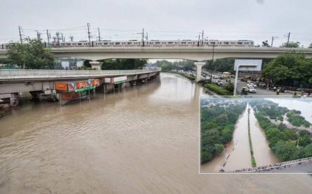 दिल्ली में बाढ़ से निपटने के लिए ‘जापान मॉडल’ लागू करने की तैयारी, 18 डायवर्जन चैनल बनाए जाएंगे