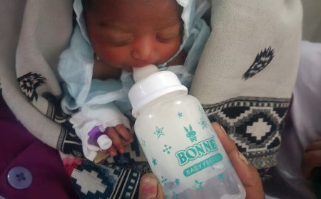 वाड्रफनगर के जंगल में मिला लावारिस नवजात, ग्रामीणों की सतर्कता से बची जान