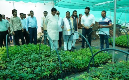 छत्तीसगढ़ बनेगा मखाना हब, कृषि मंत्री रामविचार नेताम ने लिंगाडीह मखाना सेंटर का किया निरीक्षण