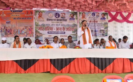 मेड़ेसरा में रोजगार सह आवास दिवस का आयोजन, “मोर तरिया – आय के जरिया” पर जोर