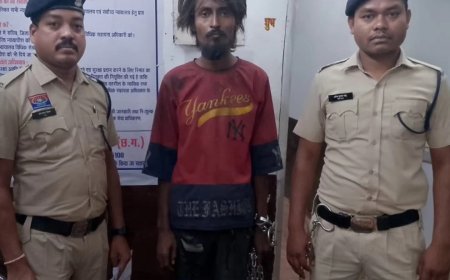 बलौदाबाजार में कार बैटरी चोरी का खुलासा, आरोपी गिरफ्तार