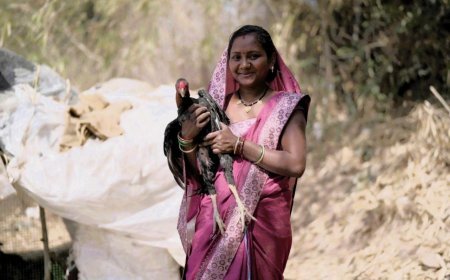 बालोद का औराटोला बना पहला लखपति दीदी ग्राम, महिलाओं की मेहनत से बदली तस्वीर