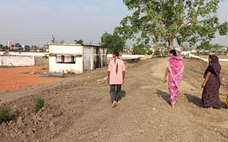 बालोद के मेड़की में वृहद वृक्षारोपण की पहल, “एक पेड़ मां के नाम” अभियान से जुड़ा गांव  Slug: balod-medki-tree-plantati