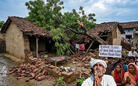 कोरिया में मुआवजे की मार: 15 हजार नुकसान पर मिले सिर्फ 4 हजार, 3 साल से भटक रहा किसान