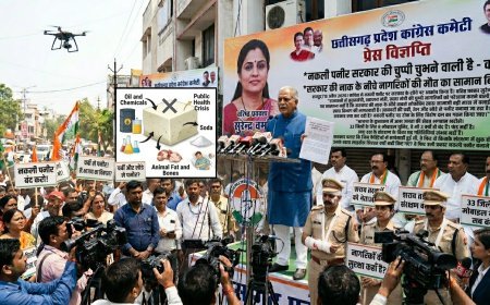 छत्तीसगढ़ में नकली पनीर पर सियासत गरम, कांग्रेस ने सरकार की चुप्पी पर उठाए सवाल