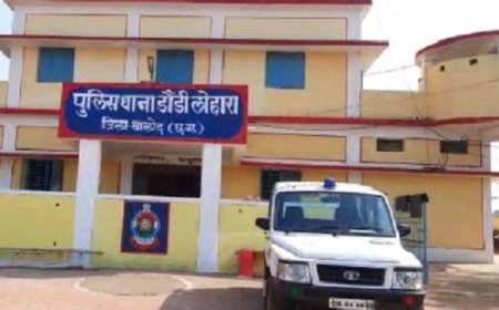 बालोद में पागल कुत्ते का हमला: 4 साल के मासूम को 17 जगह काटा, हालत गंभीर
