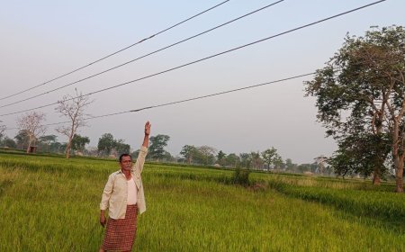 ओरमा में बिजली विभाग की लापरवाही, खेतों के ऊपर 7 फीट पर झूल रही लाइन से किसानों की जान खतरे में
