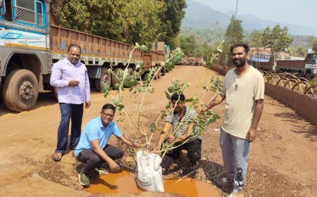 किरंदुल में पत्रकारों का अनोखा प्रदर्शन, गड्ढों में पौधारोपण कर जताया विरोध