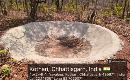 कोरबा में वन्यजीव प्यासे: मड़वारानी जंगल में जल योजना फेल, दो साल में नहीं पहुंची पानी की बूंद