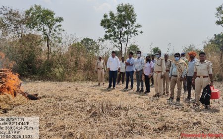 गरियाबंद में संदिग्ध हालात में तेंदुए की मौत, NH-130C पर मिला शव