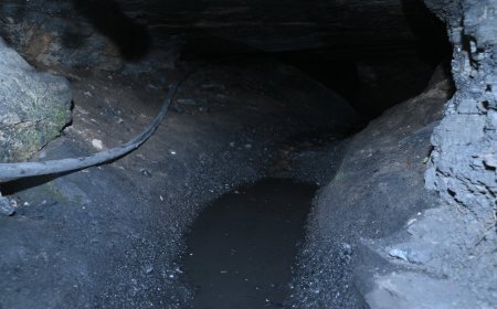 कोरिया में अवैध कोयला खनन पर बड़ा प्रहार: 150 मीटर लंबी सुरंगों पर कार्रवाई, ब्लास्टिंग के निर्देश