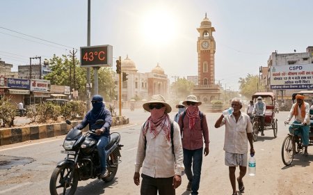 छत्तीसगढ़ में भीषण गर्मी का कहर: 5 दिनों तक ग्रीष्म लहर का अलर्ट, राजधानी में रातें भी रहेंगी तपती