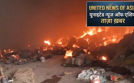 कांकेर में राइस मिल में भीषण आग: लाखों का धान, चावल और बारदाना जलकर खाक