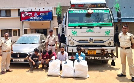 महासमुंद में एंटी नारकोटिक्स की बड़ी कार्रवाई: 47 किलो गांजा जब्त, 59 लाख से अधिक की संपत्ति सीज