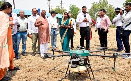 अक्ती तिहार पर कृषि मंत्री रामविचार नेताम ने की बीज बुआई, जैविक खेती को बढ़ावा देने का दिया संदेश