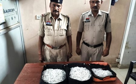 महासमुंद में बड़ी कार्रवाई: बस से 18.5 किलो चांदी के गहने जब्त, 46 लाख से अधिक की संपत्ति बरामद