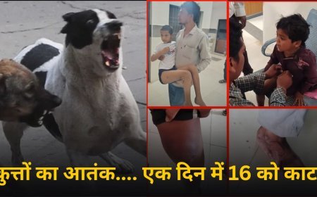 तखतपुर में आवारा कुत्तों का आतंक: एक दिन में 16 लोग घायल, बच्चों में दहशत