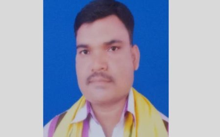 साल्ही पंचायत में भ्रष्टाचार के आरोप: सरपंच पर सत्ता के दुरुपयोग और विकास कार्यों में अनियमितता के सवाल