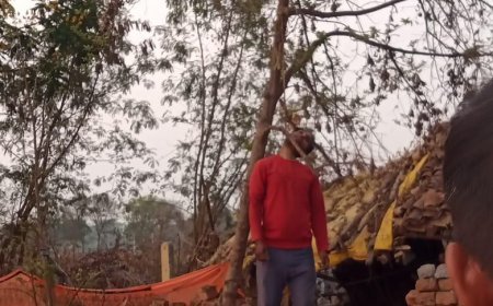 बालोद में दर्दनाक घटना: पत्नी के जाने से आहत 42 वर्षीय व्यक्ति ने की आत्महत्या, गांव में शोक