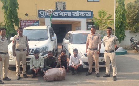 महासमुंद में बड़ी कार्रवाई: 12.563 किलो गांजा के साथ 7 अंतर्राज्यीय तस्कर गिरफ्तार