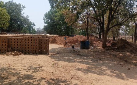 सराईपाली के जंगलों में अवैध ईंट भट्ठों का जाल, पर्यावरण और राजस्व को बड़ा नुकसान